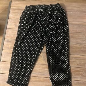 Torrid Trouser Poka Dots